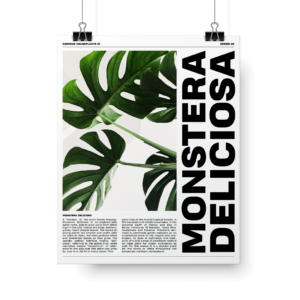 Plant Posters series 2 Monstera